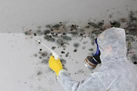 Best Airborne Mold Testing  in Forest Meadows, CA